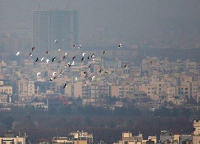 رتبه تهران در میان آلوده ترین شهرهای امروز جهان