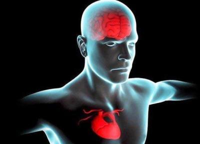 ارتباط سلامت قلب در میانسالی با کاهش ریسک زوال عقل
