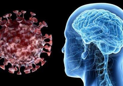 محققان آمریکا: درگیر شدن مغز به کرونا از درگیر شدن ریه خطرناک تر است