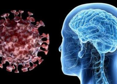 محققان آمریکا: درگیر شدن مغز به کرونا از درگیر شدن ریه خطرناک تر است