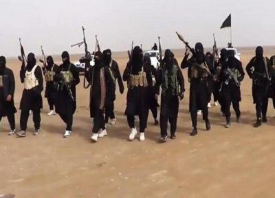 آمریکا شماری از عناصر داعش را از سوریه به عراق منتقل نموده است
