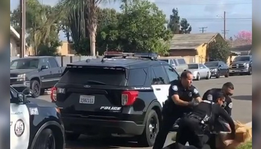 مشت زنی پلیس به صورت یک زن دستگیرشده در کالیفرنیا