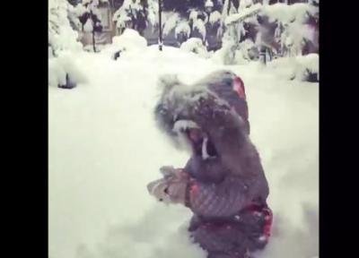 شادی این بچه از بارش برف تماشا دارد