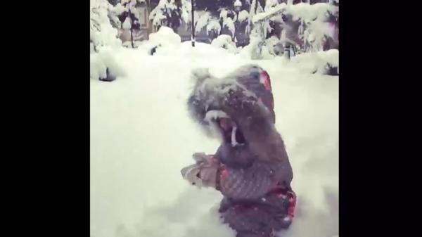 شادی این بچه از بارش برف تماشا دارد
