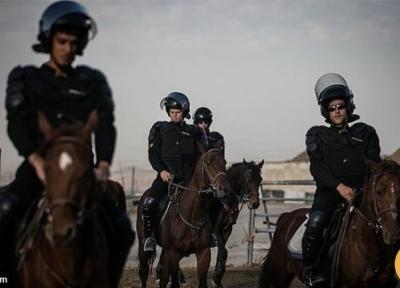 برقراری نظم در آزادی با پلیس اسب سوار