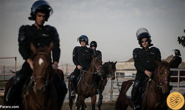 برقراری نظم در آزادی با پلیس اسب سوار